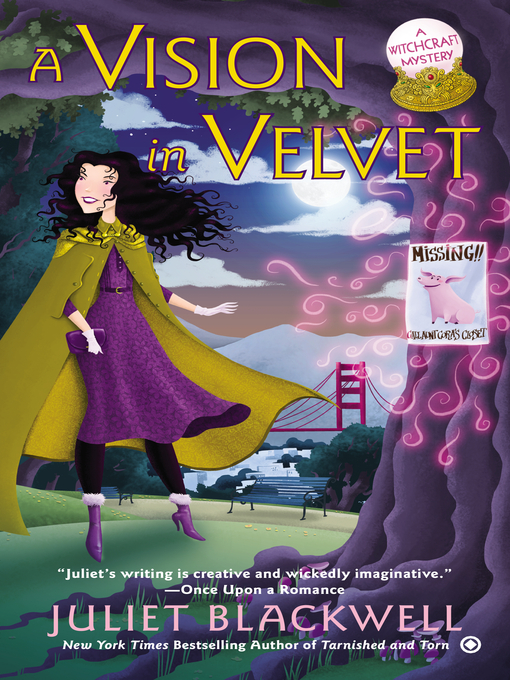 Title details for A Vision in Velvet by Juliet Blackwell - Wait list